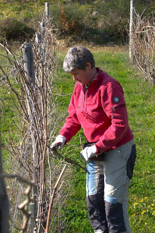 Elena in vigna